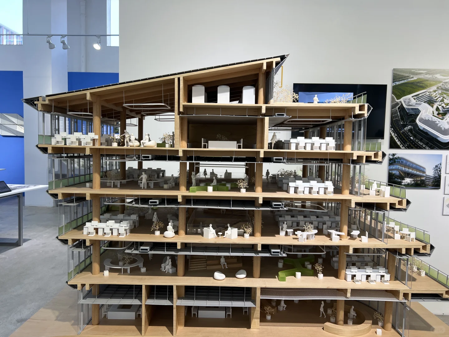 Line+建筑设计展观后感