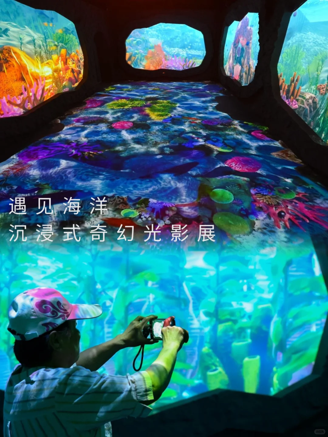 北京新展?这个海洋光影展太适合暑假遛娃啦