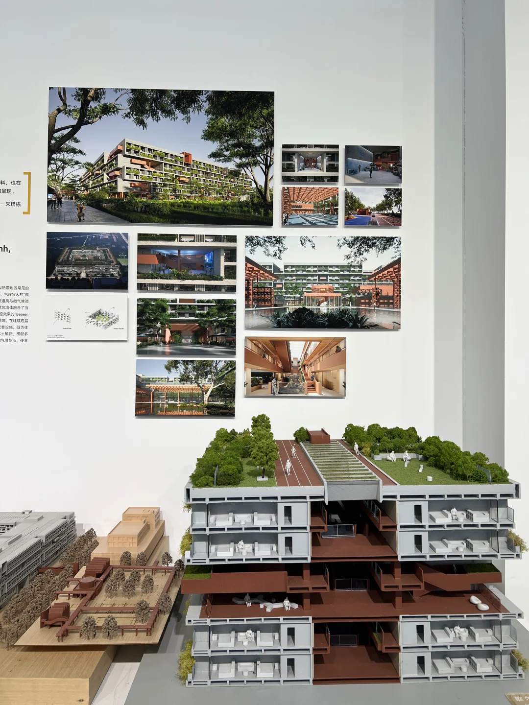 Line+建筑设计展观后感