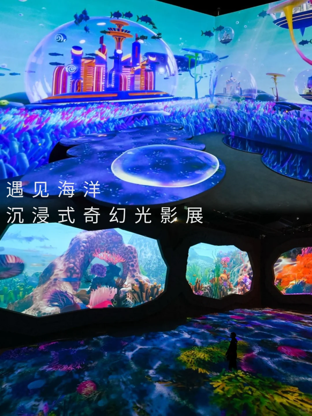 北京新展?这个海洋光影展太适合暑假遛娃啦