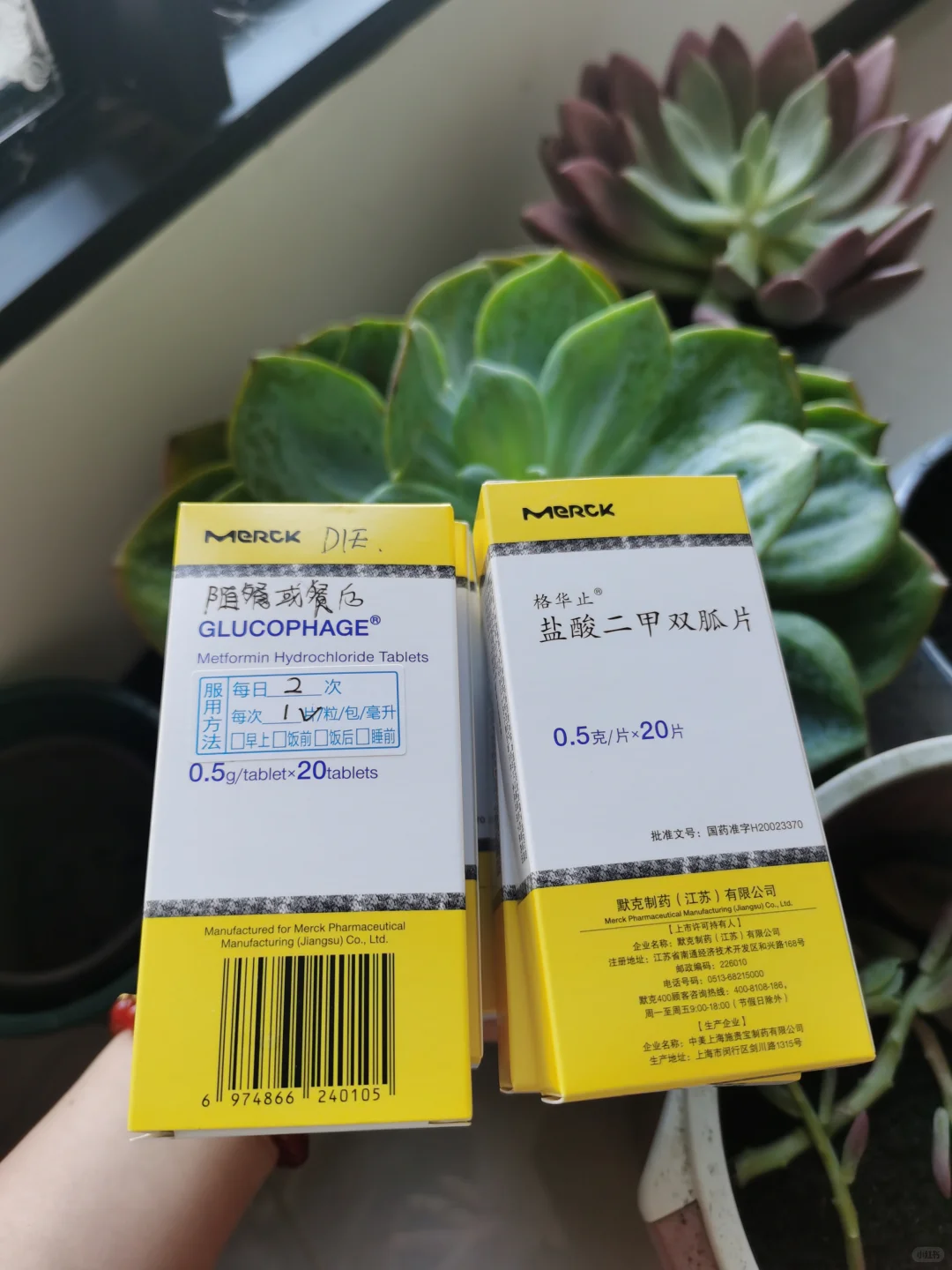 胰岛素抵抗+多囊……