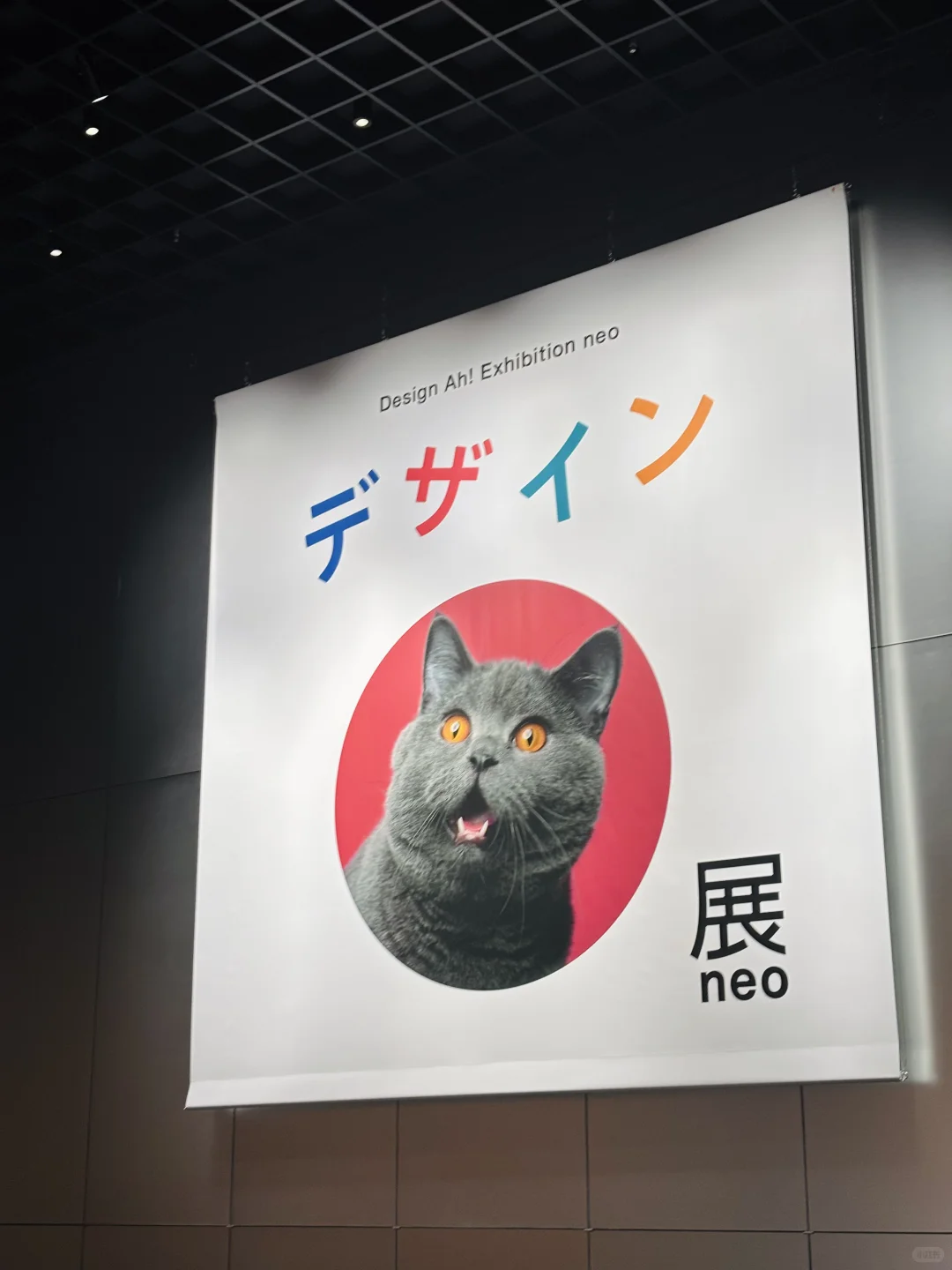 东京あ展！好玩到啊啊叫！