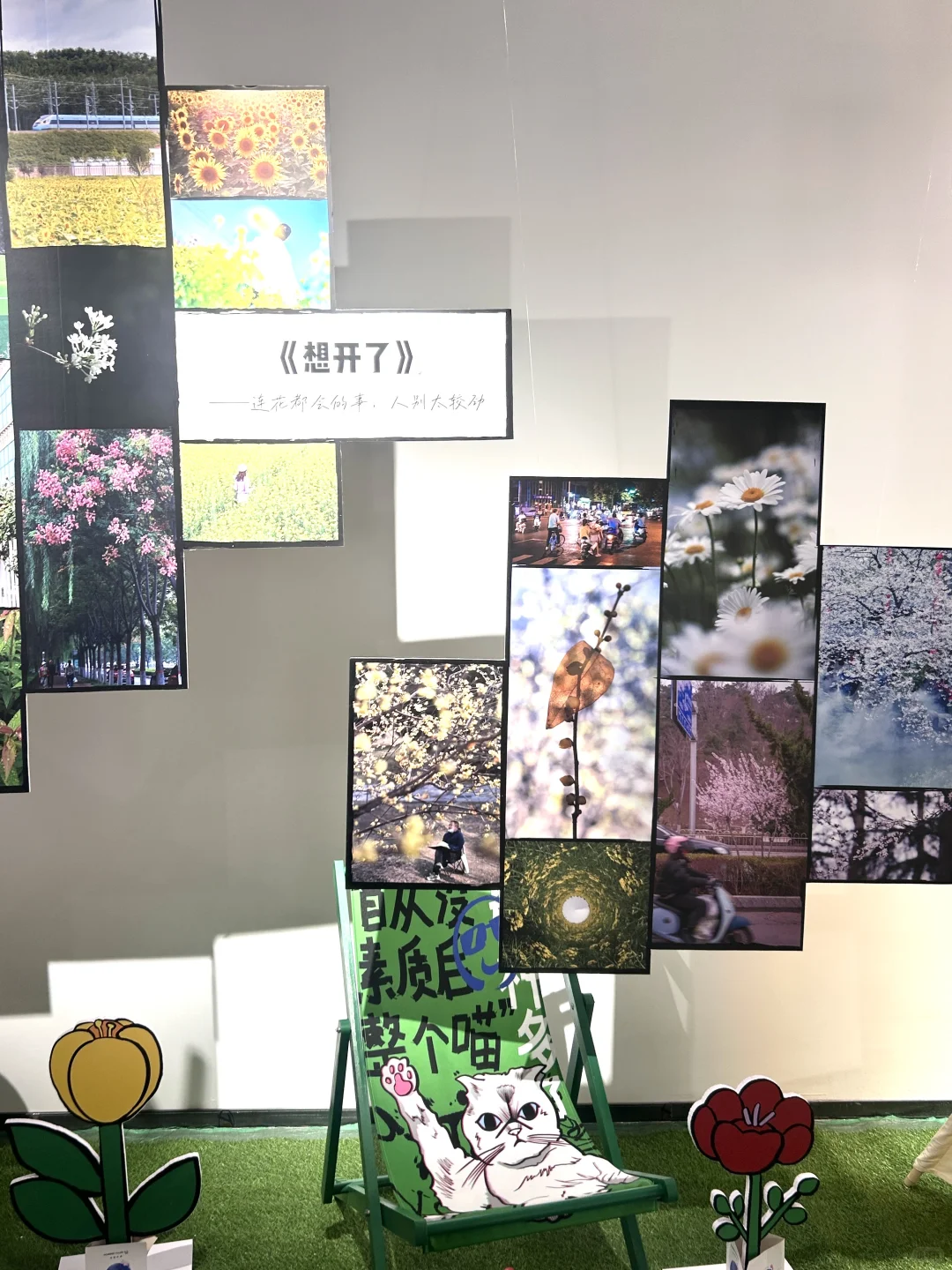 晋城｜有趣人类计划?艺术新展