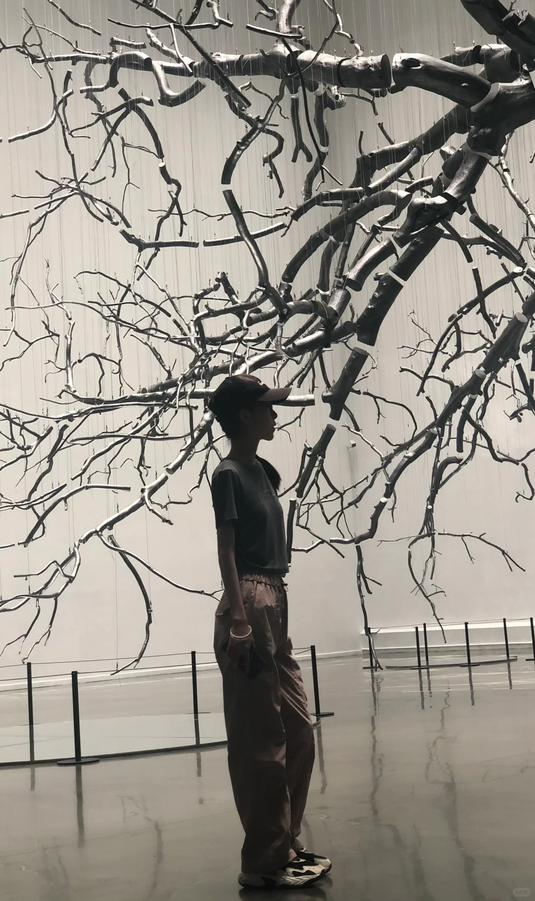 Annie游记｜世界最大集装箱艺术馆