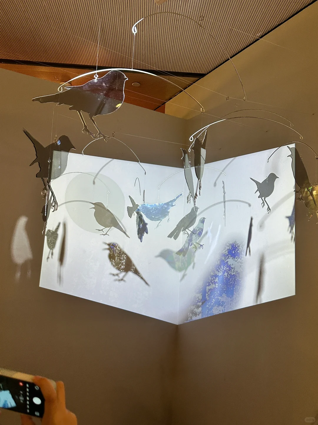 北京看展｜2025央美毕业展看了！