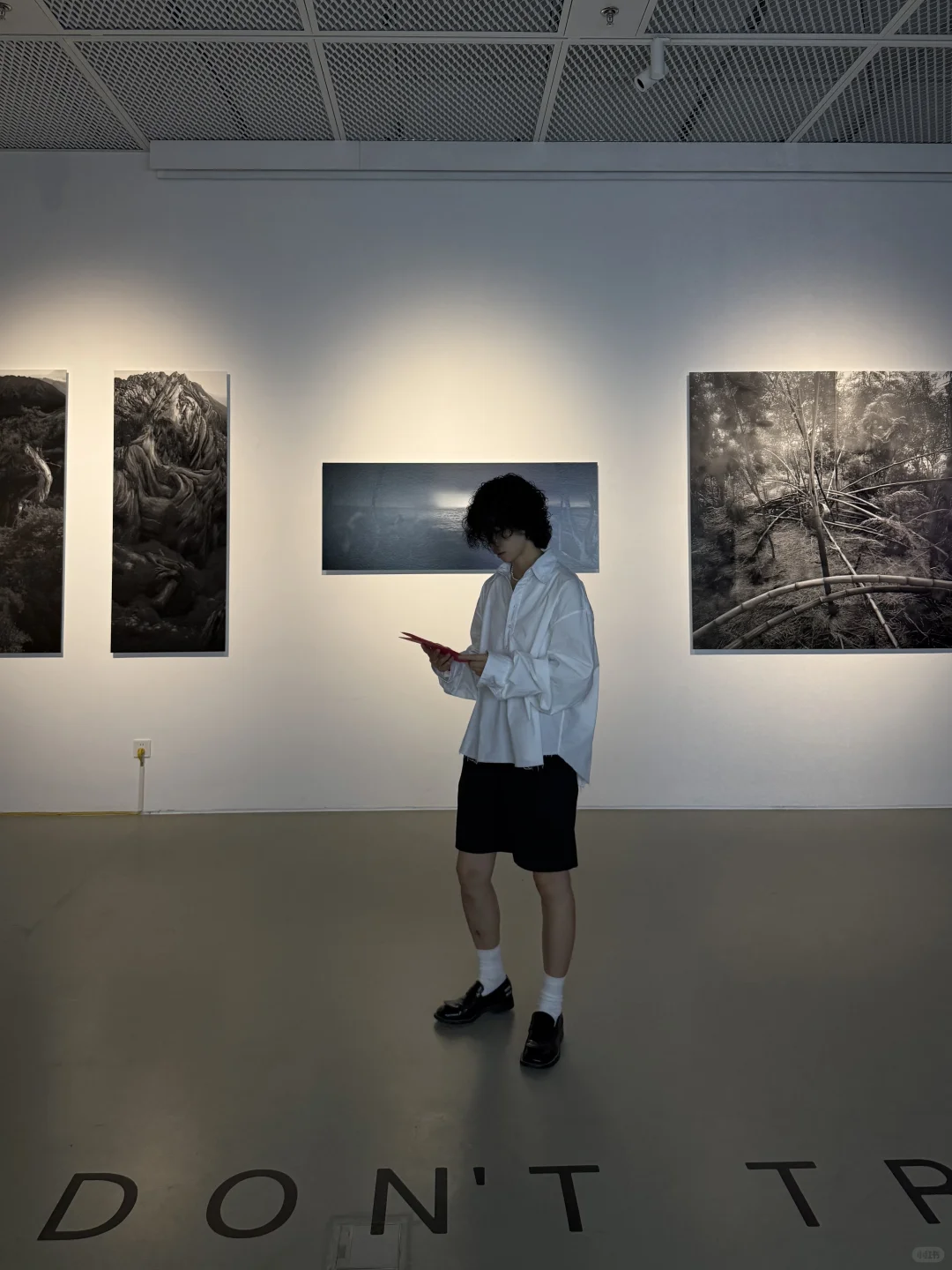 近期在上海看过坠震撼的展……