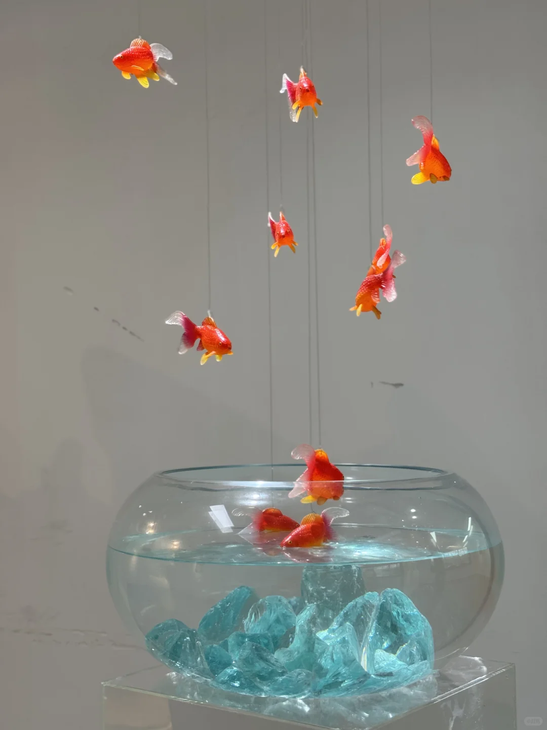 广州新展Ⅰ夏日梦核??坠入鱼里的世界