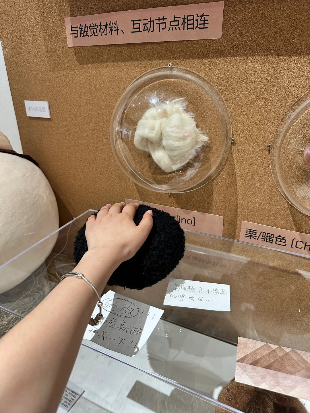 北京看展｜2025央美毕业展看了！