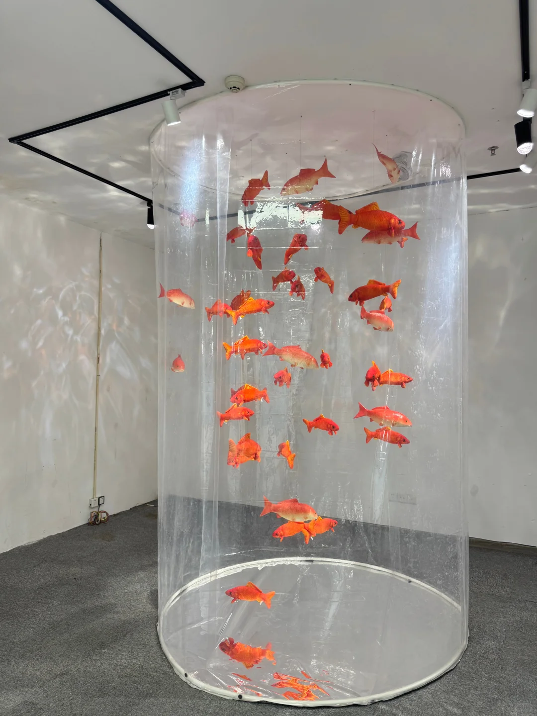 广州新展Ⅰ夏日梦核??坠入鱼里的世界