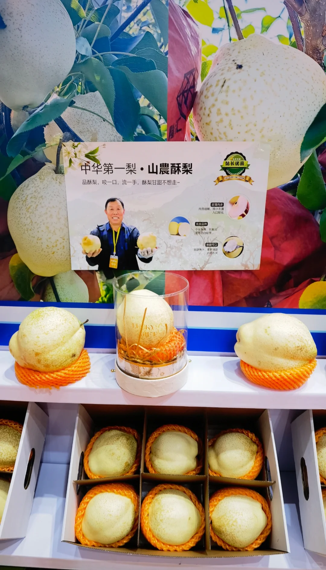误入烟台果蔬博览会现场