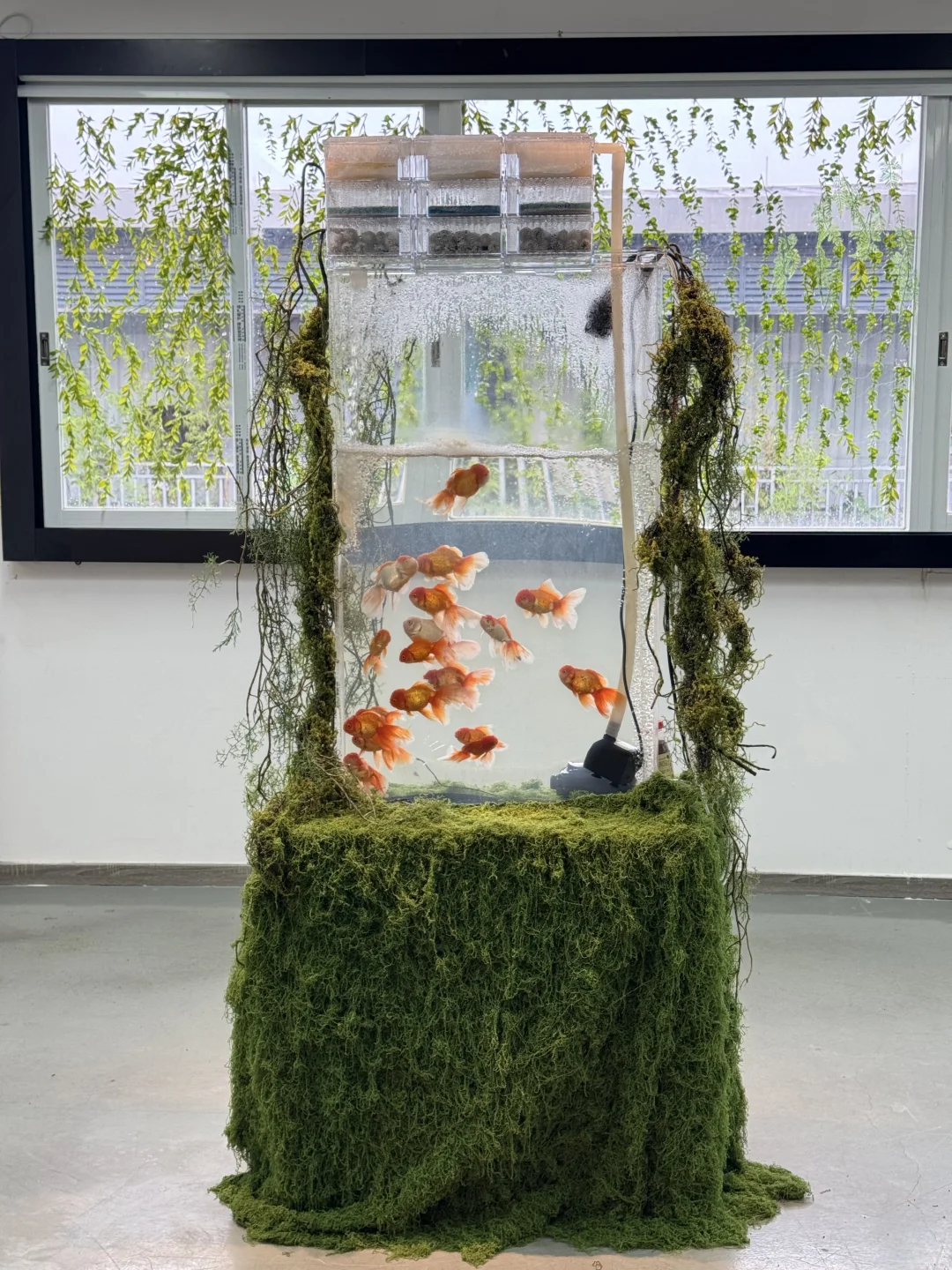 广州新展Ⅰ夏日梦核??坠入鱼里的世界