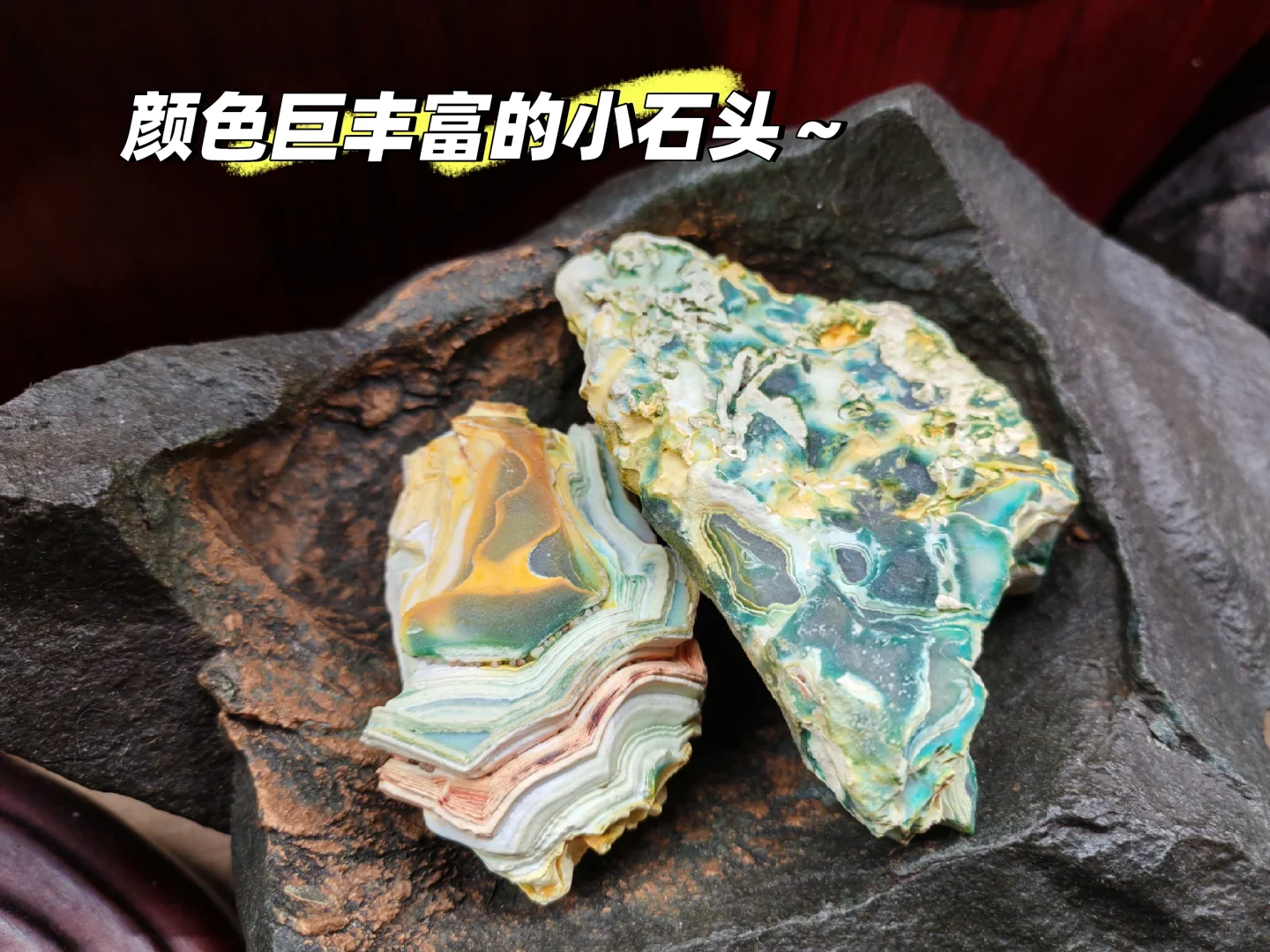 石家庄｜艺术市场