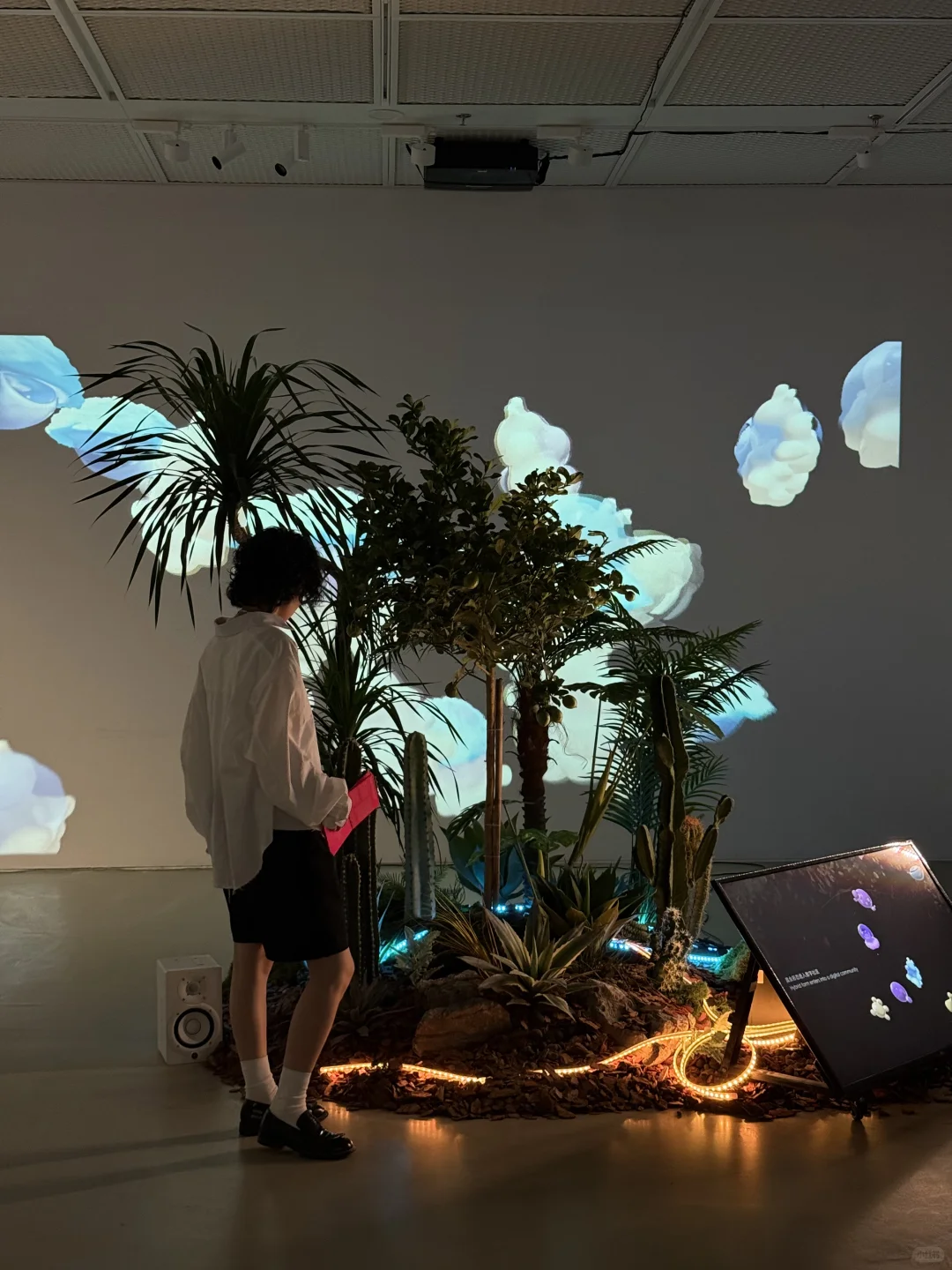 近期在上海看过坠震撼的展……