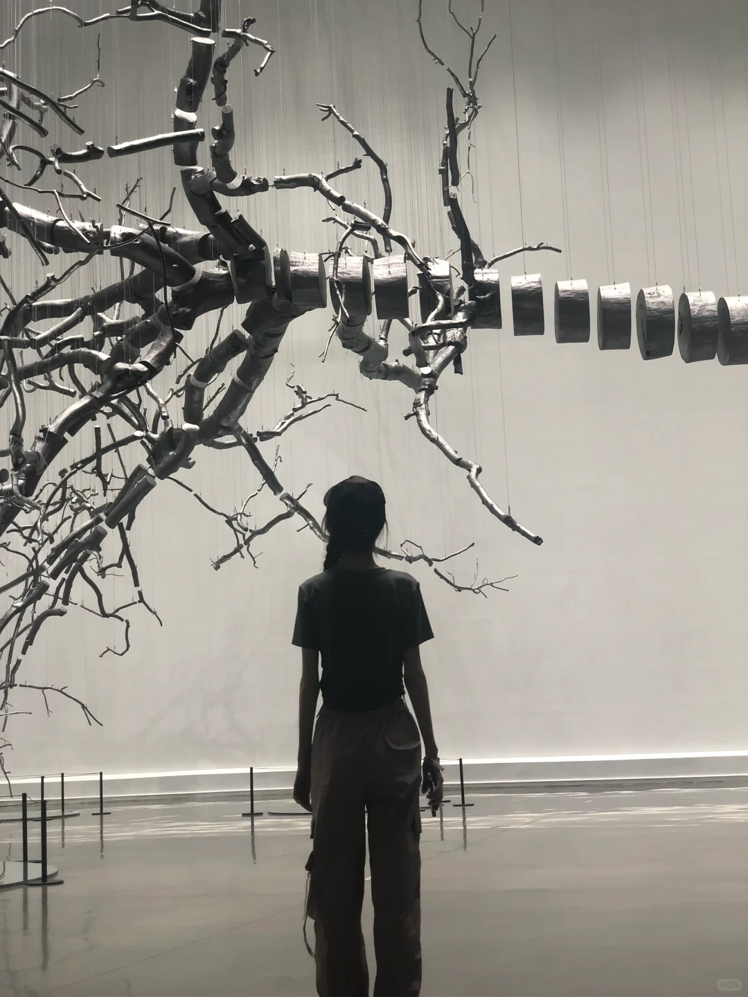 Annie游记｜世界最大集装箱艺术馆