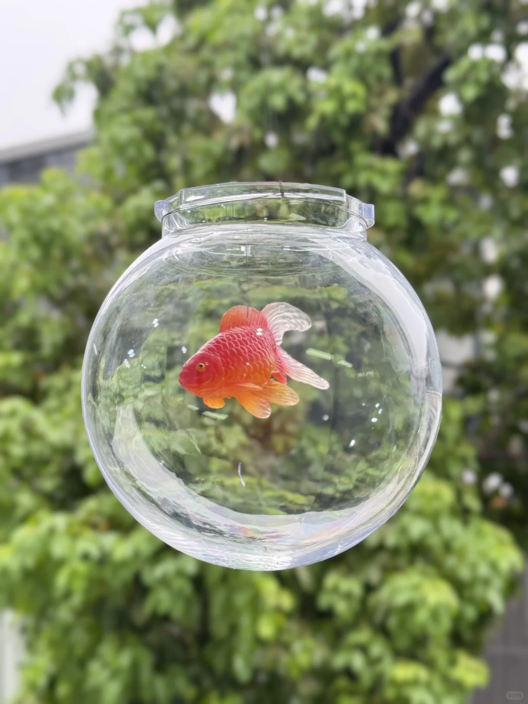 广州新展Ⅰ夏日梦核??坠入鱼里的世界