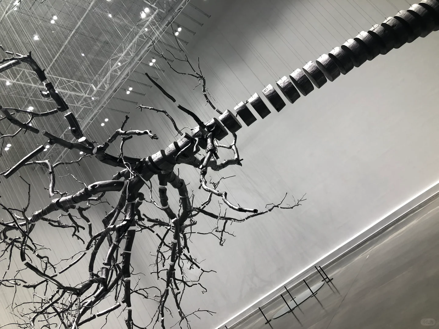 Annie游记｜世界最大集装箱艺术馆