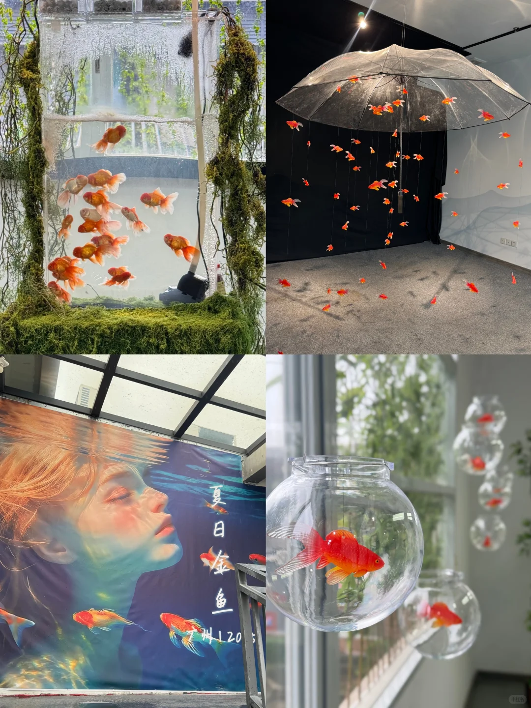广州新展Ⅰ夏日梦核??坠入鱼里的世界