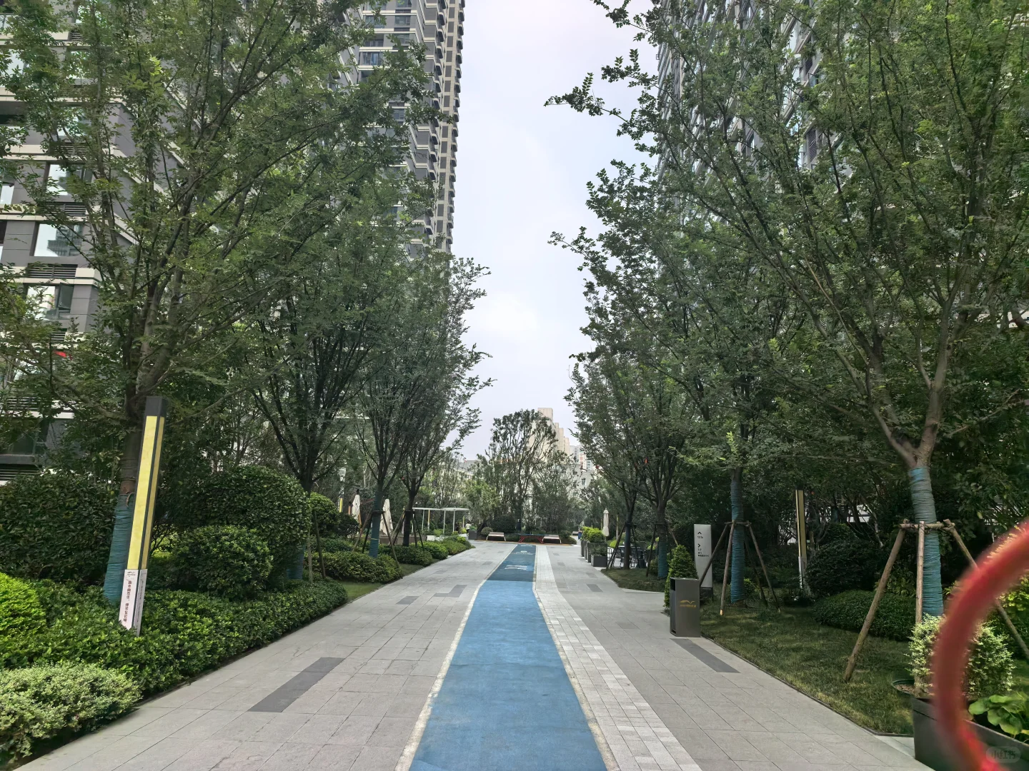 难得的凉爽