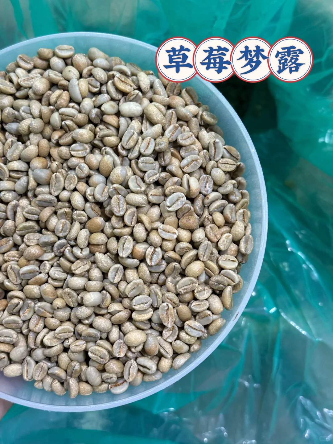 今天是麻袋“线上生豆展销会”??