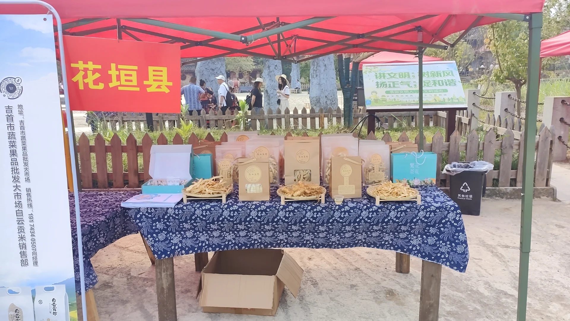 正宗的湖南湘玉竹