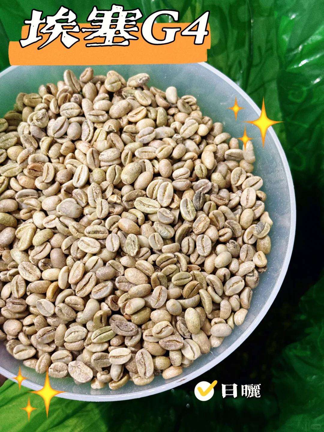 今天是麻袋“线上生豆展销会”??