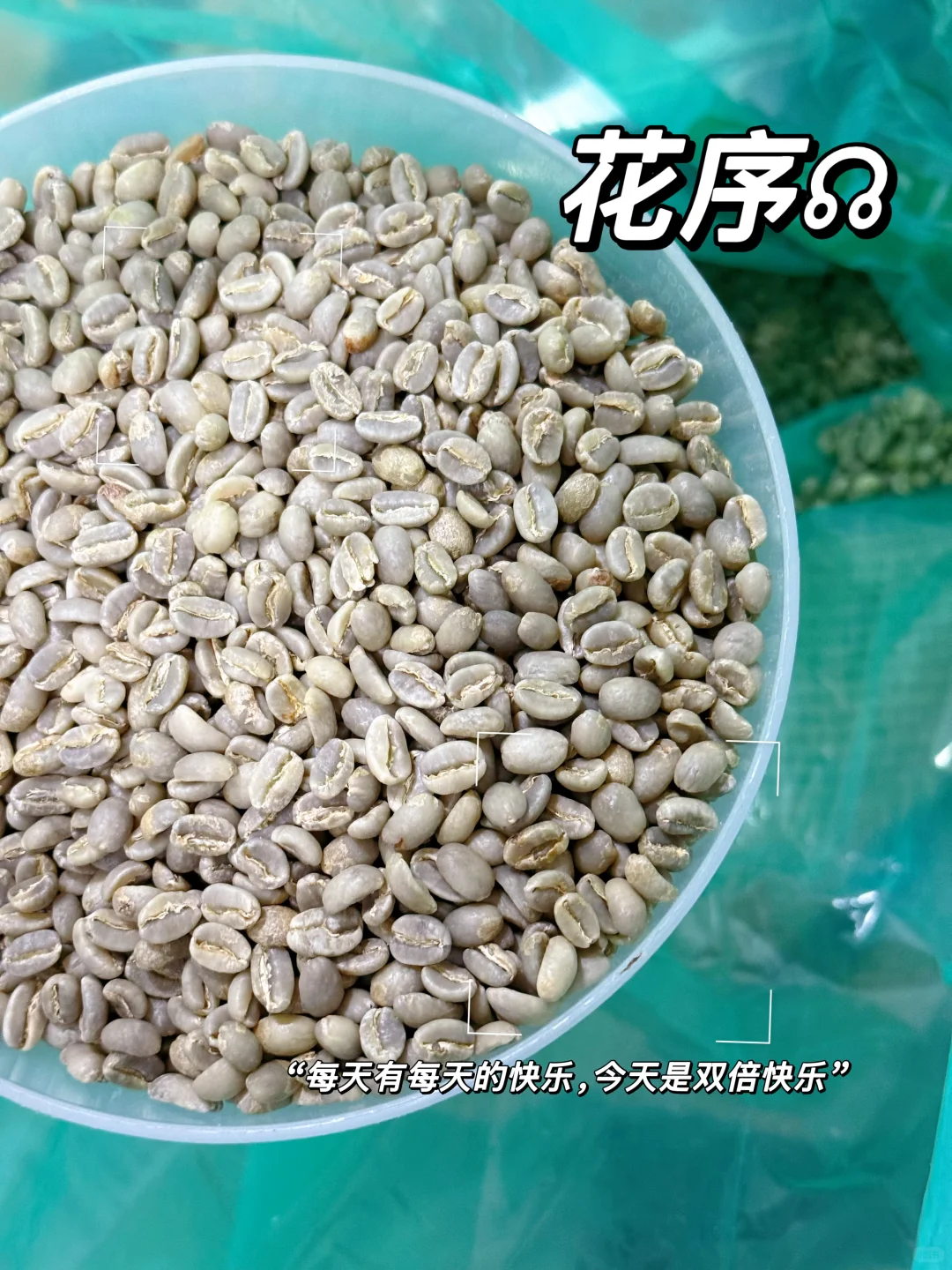 今天是麻袋“线上生豆展销会”??