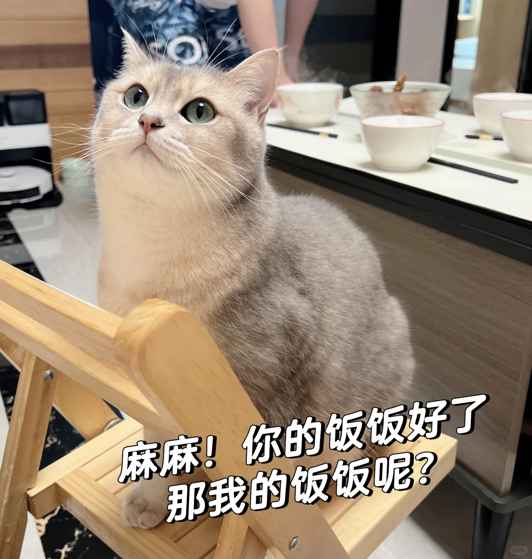 亚宠展剧透?来N2B01领取毛孩子好礼！