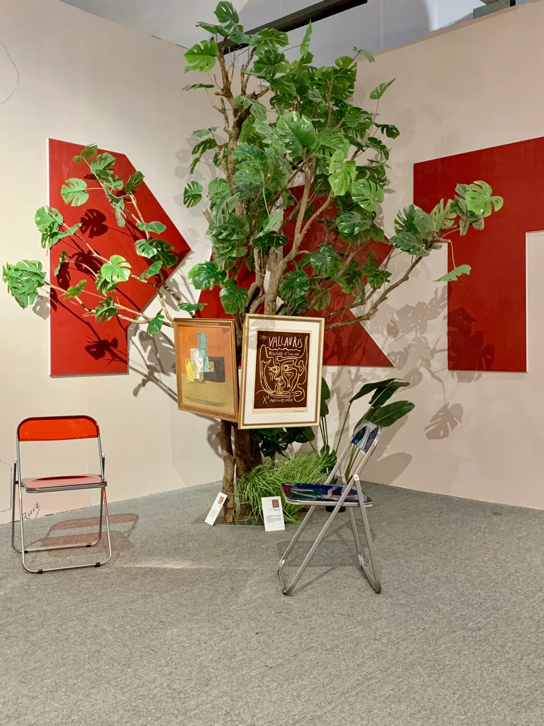 济南新展！！满屋白鸽真的太好拍了（附位置）