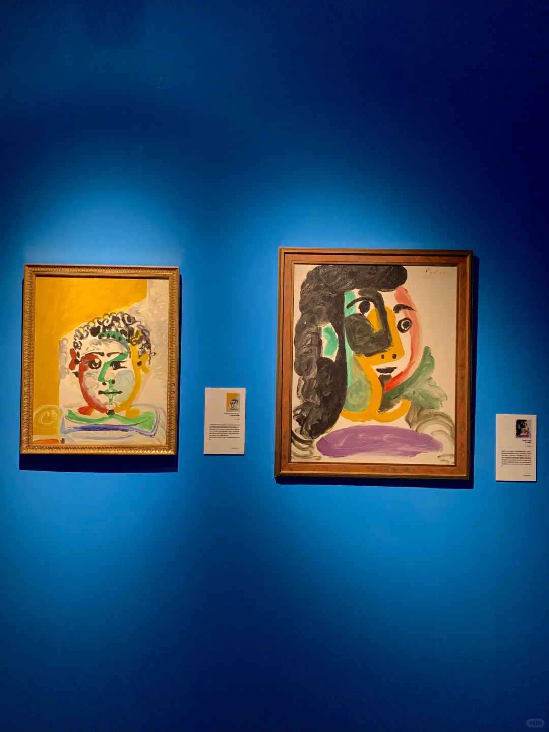 济南新展！！满屋白鸽真的太好拍了（附位置）