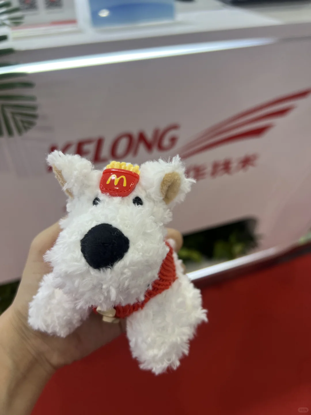 2025北京充换电展逛展攻略❗️❗️