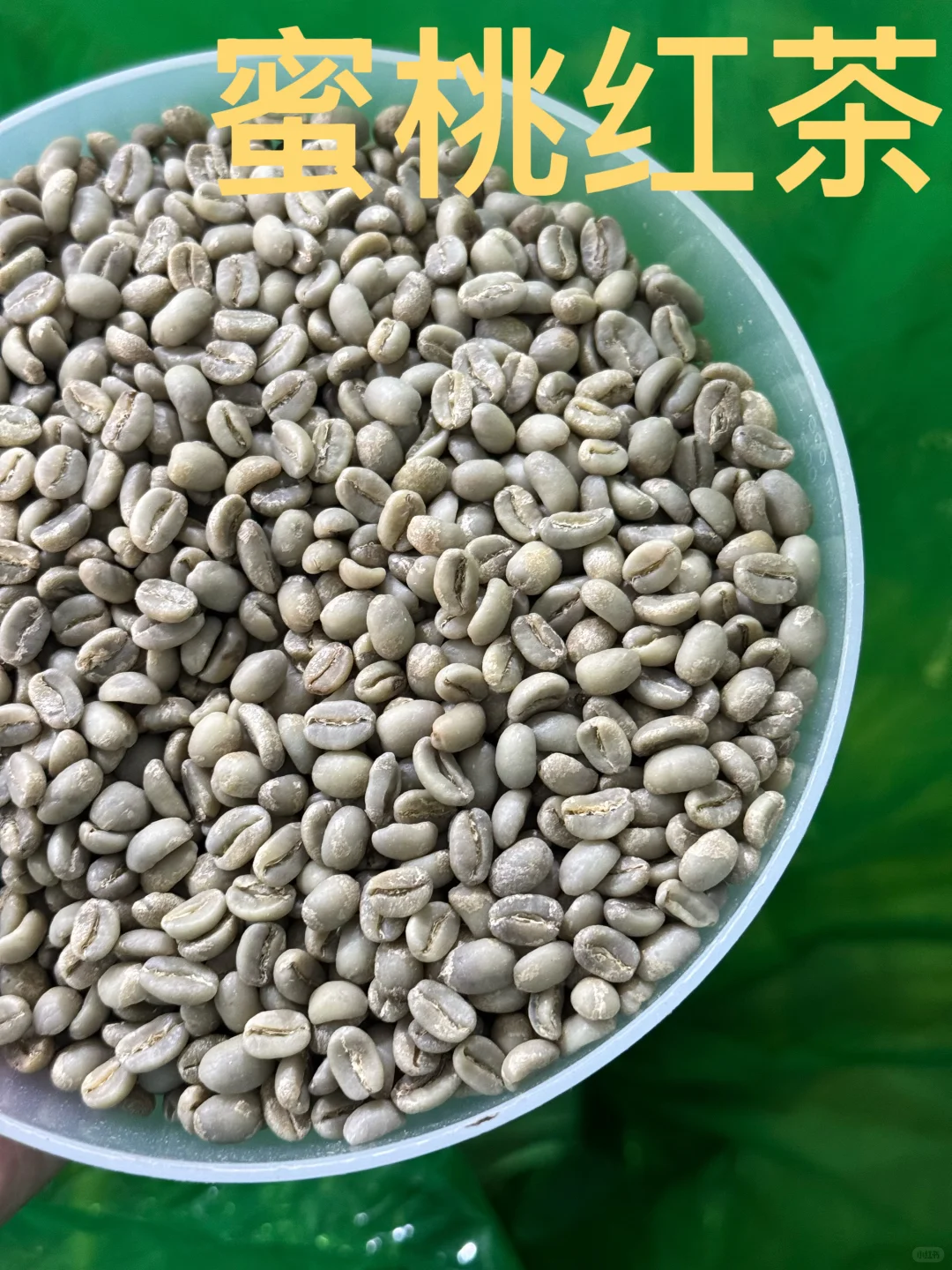 今天是麻袋“线上生豆展销会”??
