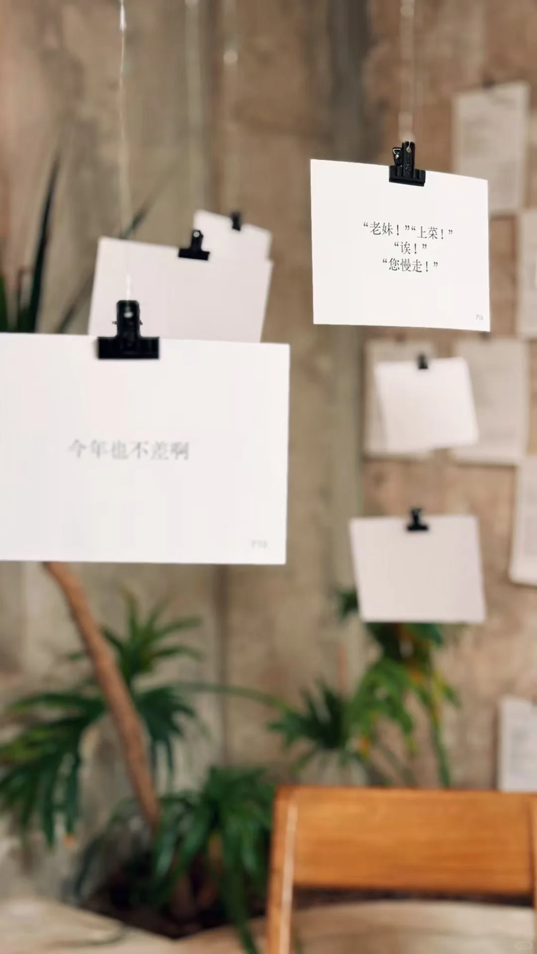 一个干干净净的小展
