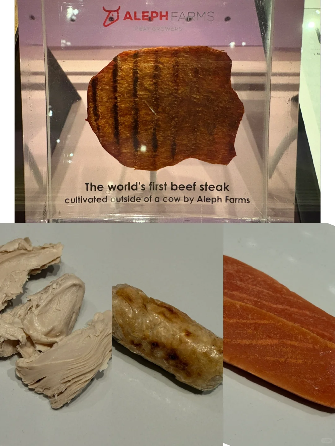 最新科技动态：微生物制造食品与细胞培养肉