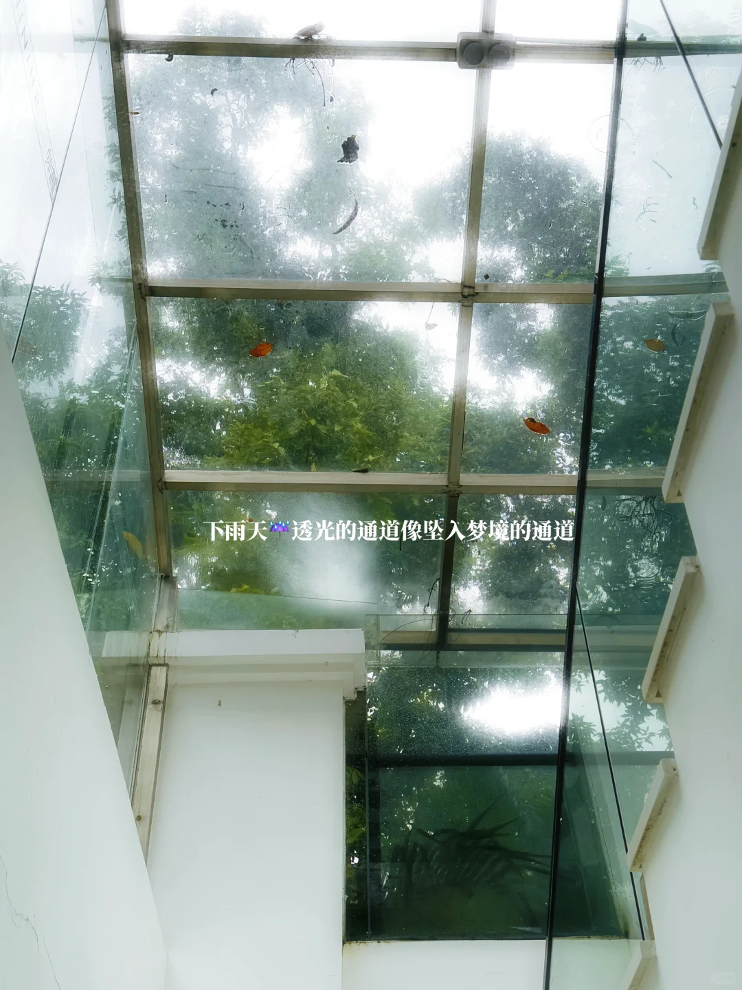 广州新展｜好治愈!! 雨天坠进梦核色彩中☔️?
