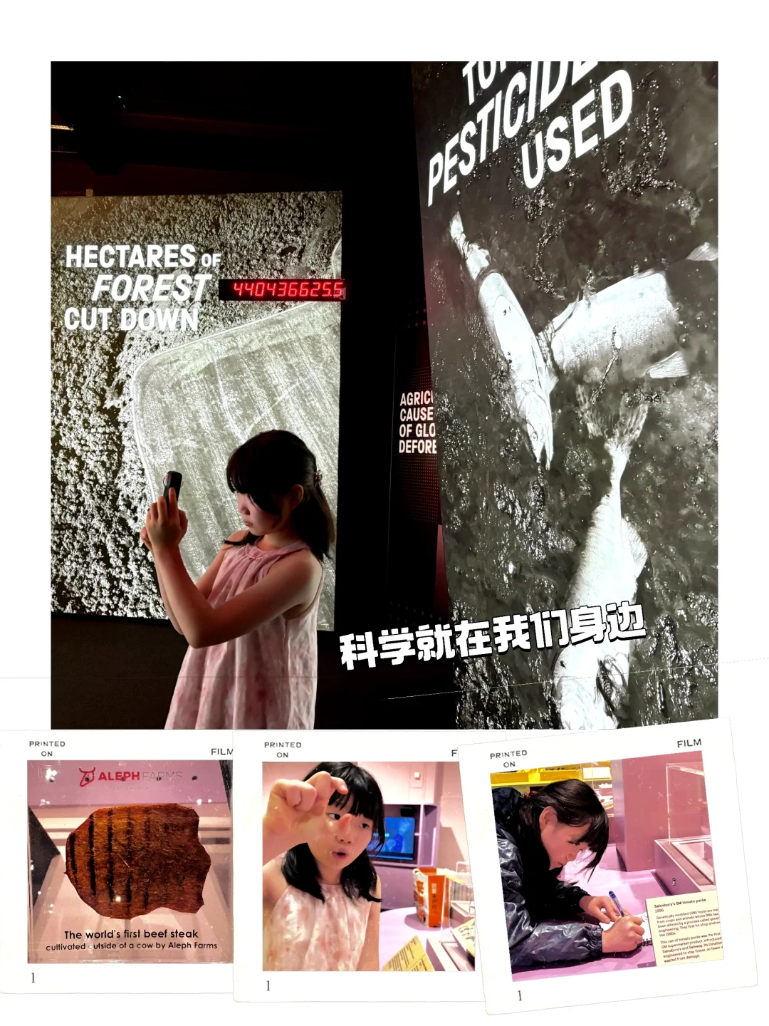 最新科技动态：微生物制造食品与细胞培养肉