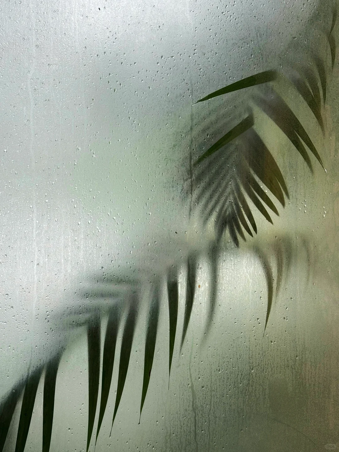 广州新展｜好治愈!! 雨天坠进梦核色彩中☔️?