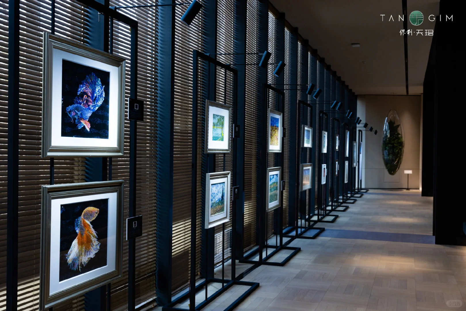 武汉地区活动拍摄案例展示（展览展品）