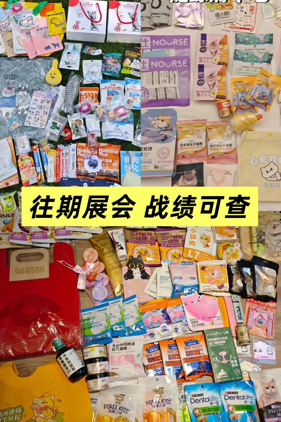 ?2025亚宠展攻略第一弹