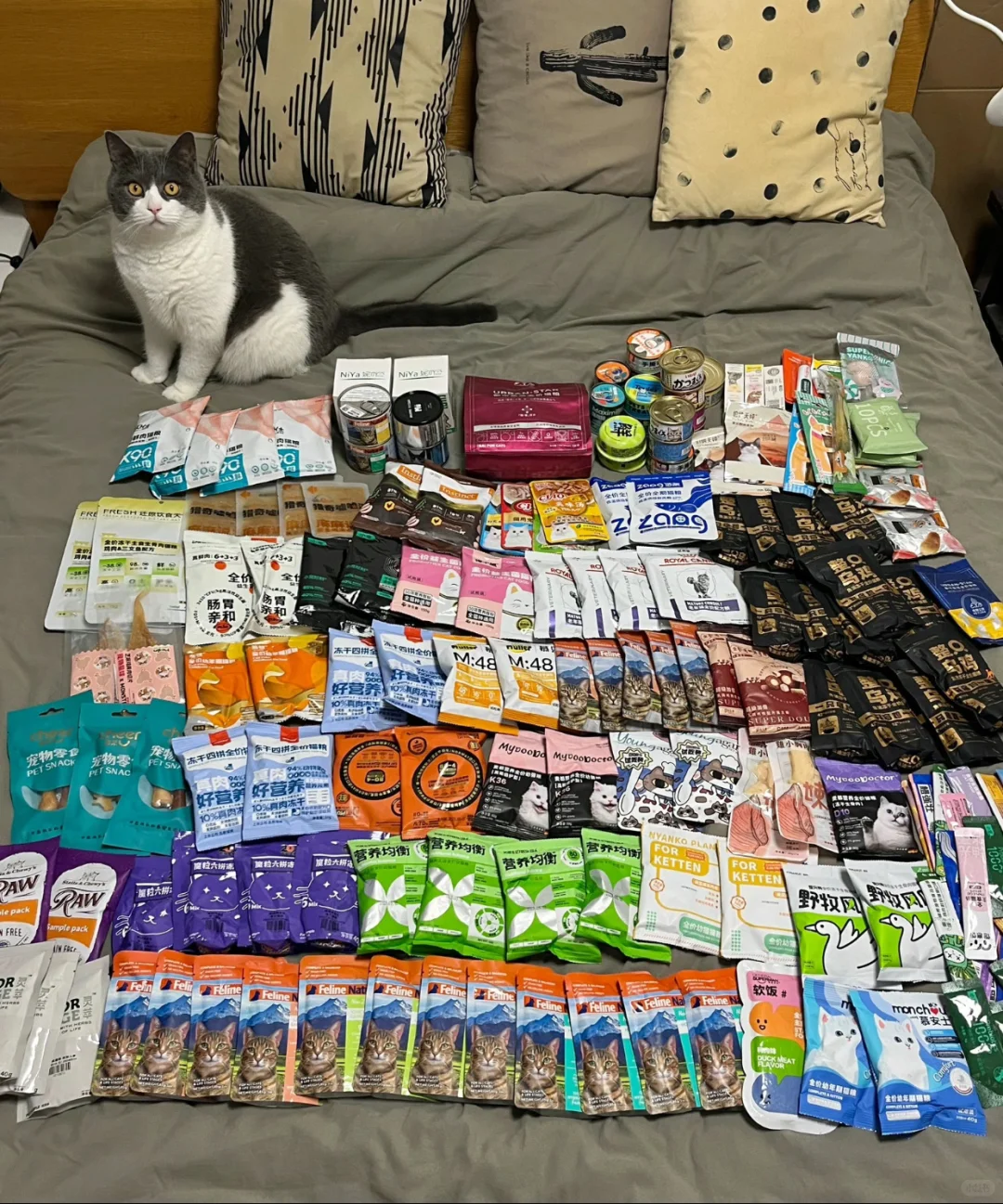 深宠展又来啦!!!?三天通票低价出!可薅羊毛