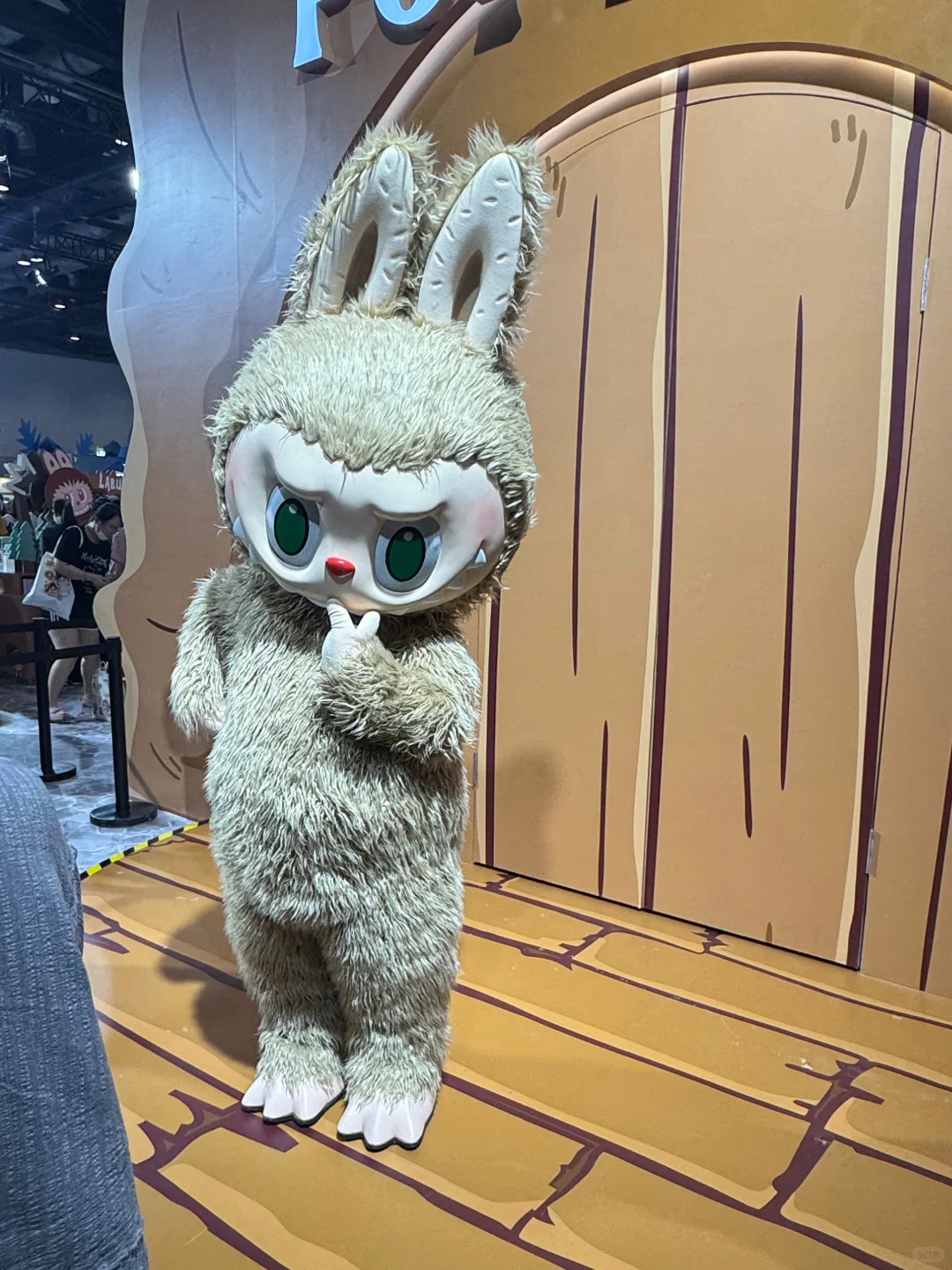 刚回❗️北京pts潮玩展普票玩家值回票价✅