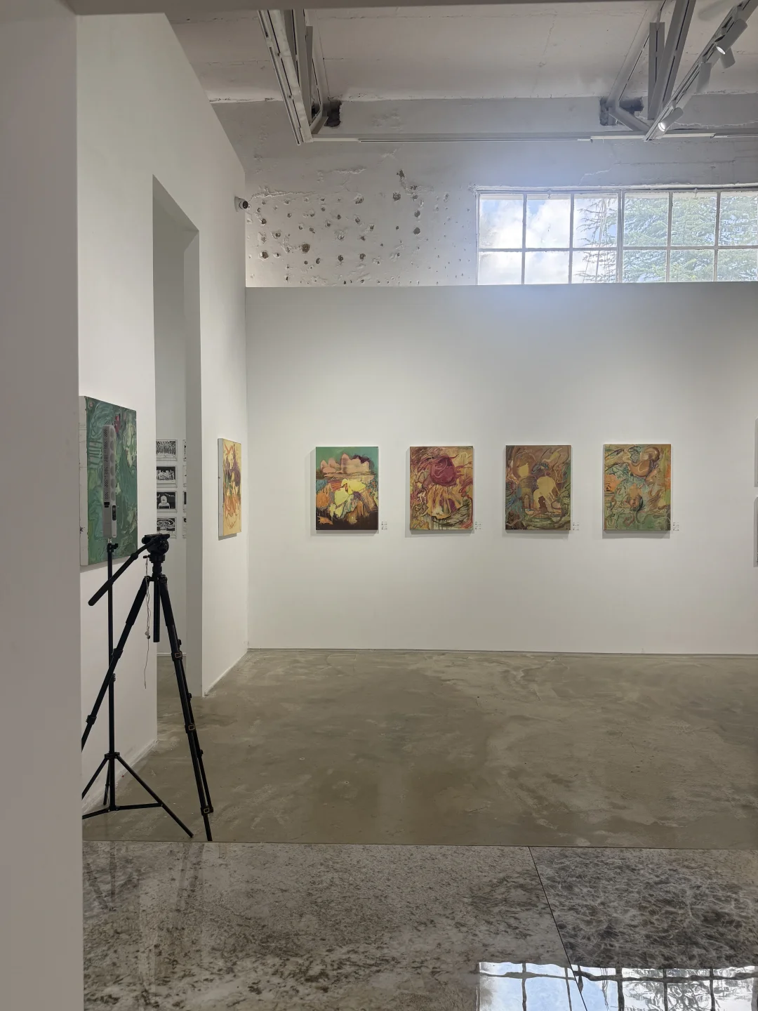 图像游戏3·她者共生—跨境当代艺术展