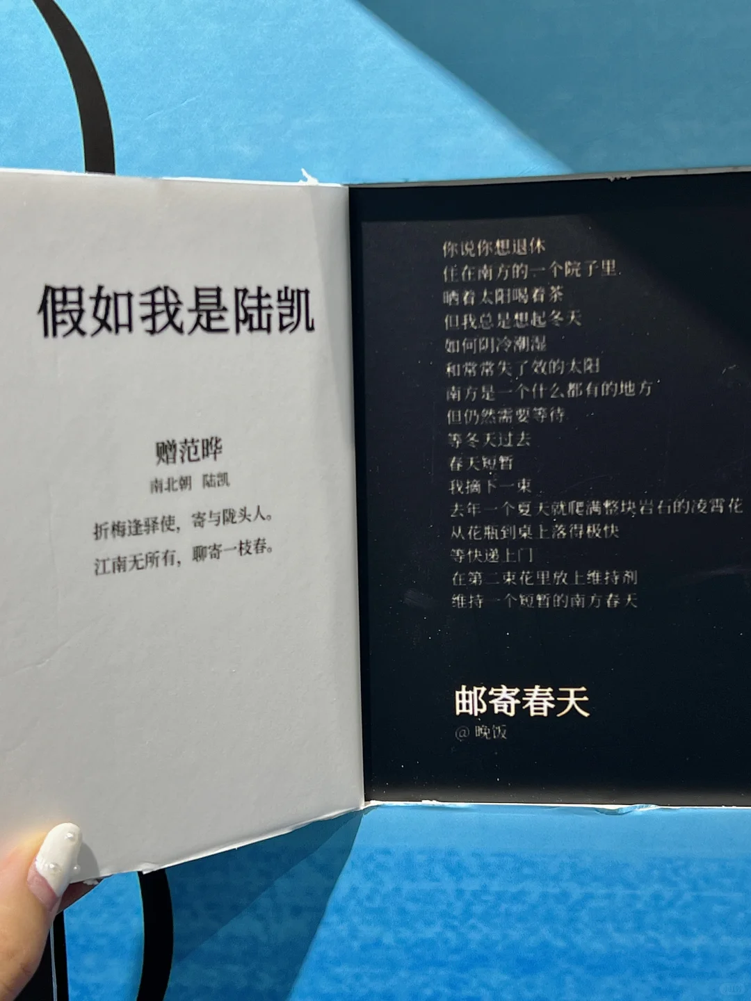 西北首展｜预测……西安下一个顶流打卡地！！！