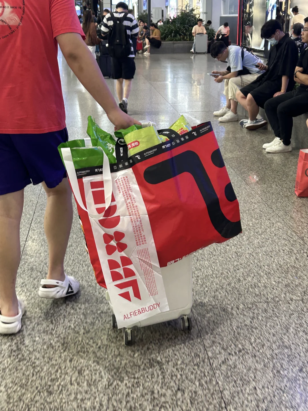 2025年上海亚宠展就要来啦