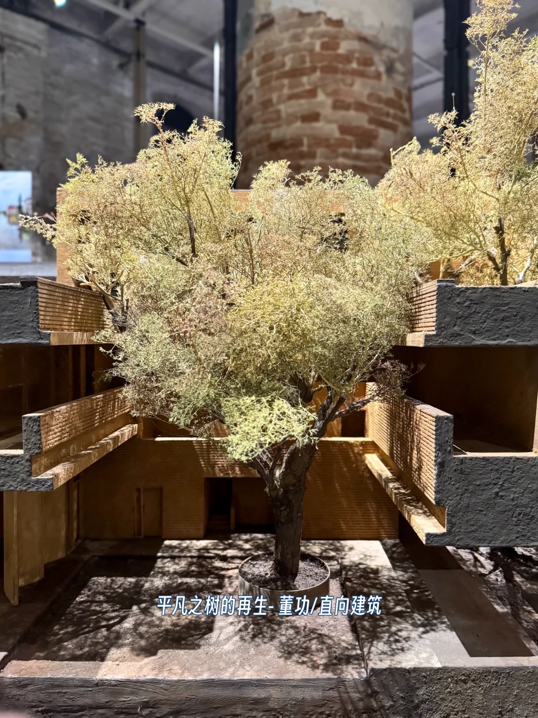 一座闪闪发亮的水上码头✨|威尼斯建筑双年展