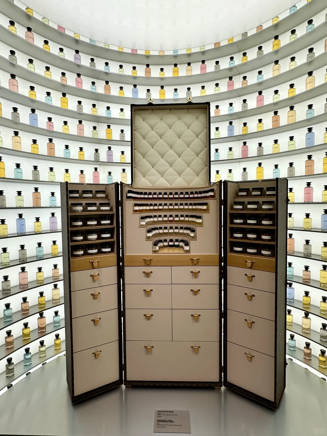 LV?也算是登过船的人了⚪️?