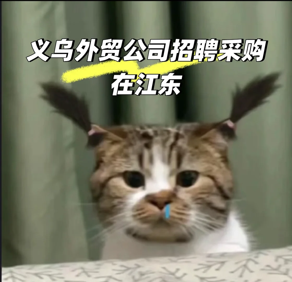 老板是外国人 会中文