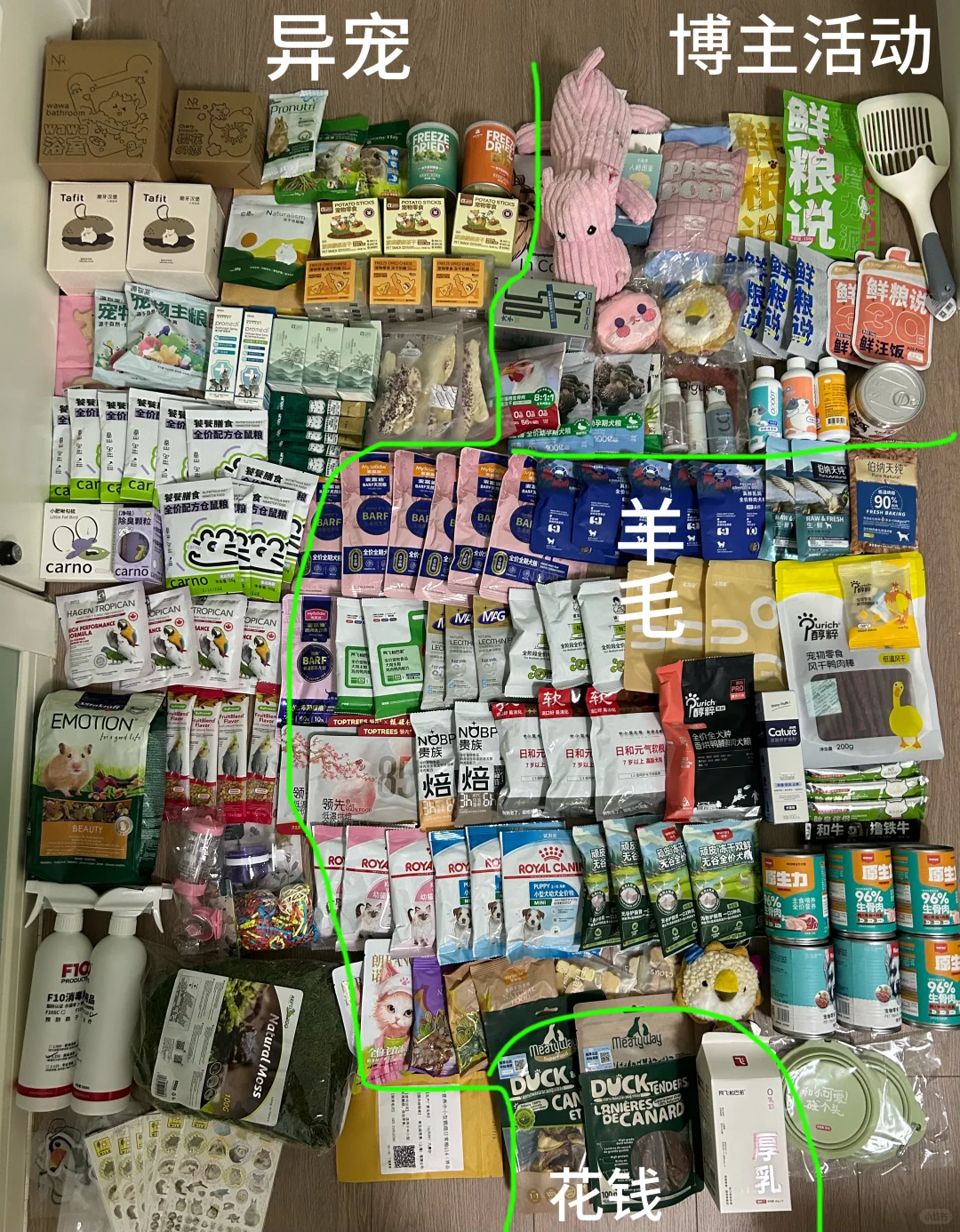 2025年上海亚宠展就要来啦