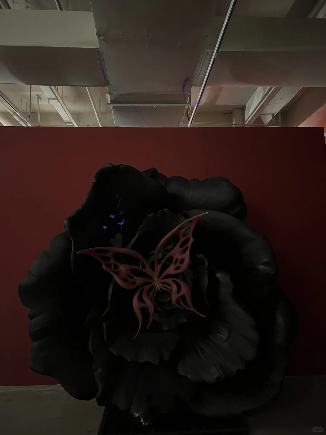 成都COSMO新展倒计时｜志愿者招募❗️女生优先