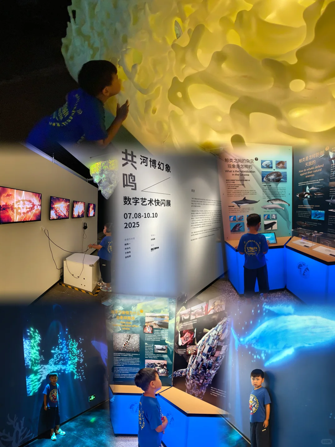 ✨河博又来“抢”娃啦！新展光影秀也太会了