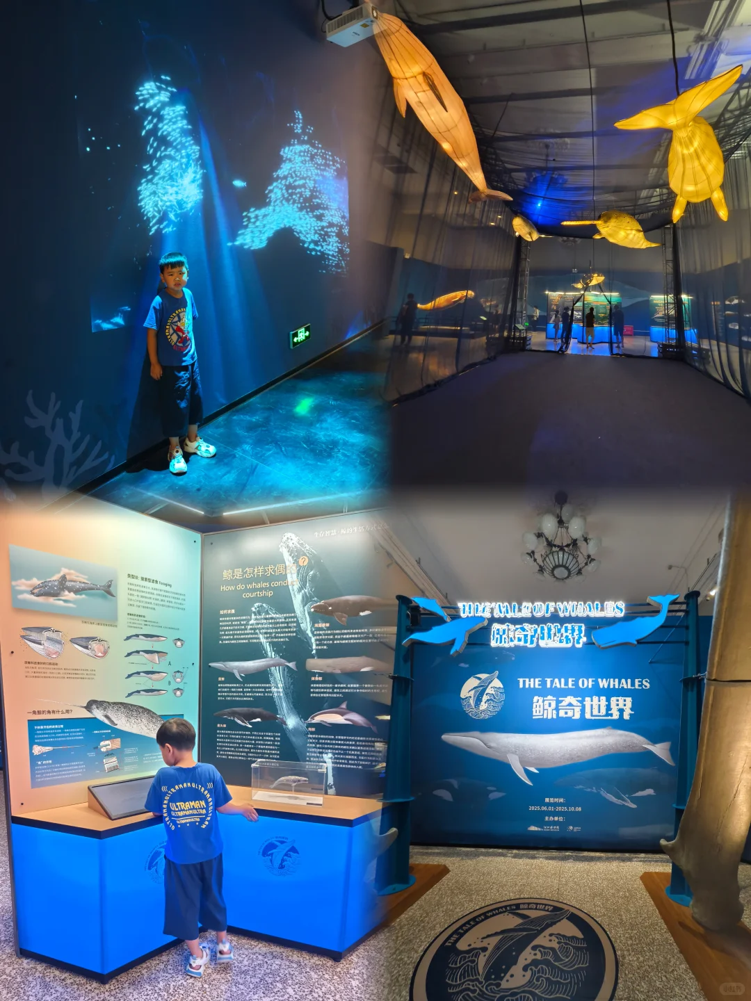 ✨河博又来“抢”娃啦！新展光影秀也太会了